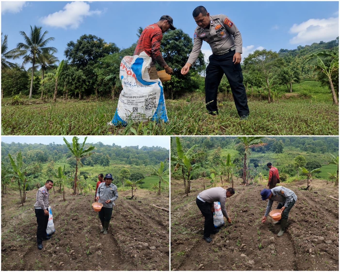 ​Sinergi untuk Ketahanan Pangan, Satlantas Polres Kuningan Turun Langsung ke Sawah Bantu Petani Desa Cibulan