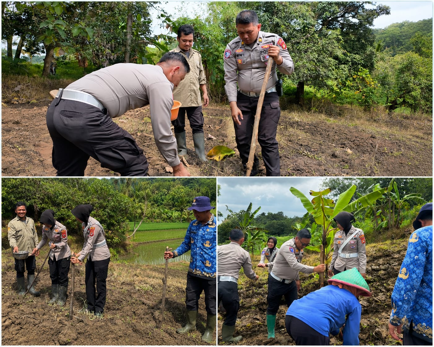 Wujud Nyata Polri Peduli Petani, Sat Lantas Polres Kuningan Sukseskan Program Ketahanan Pangan