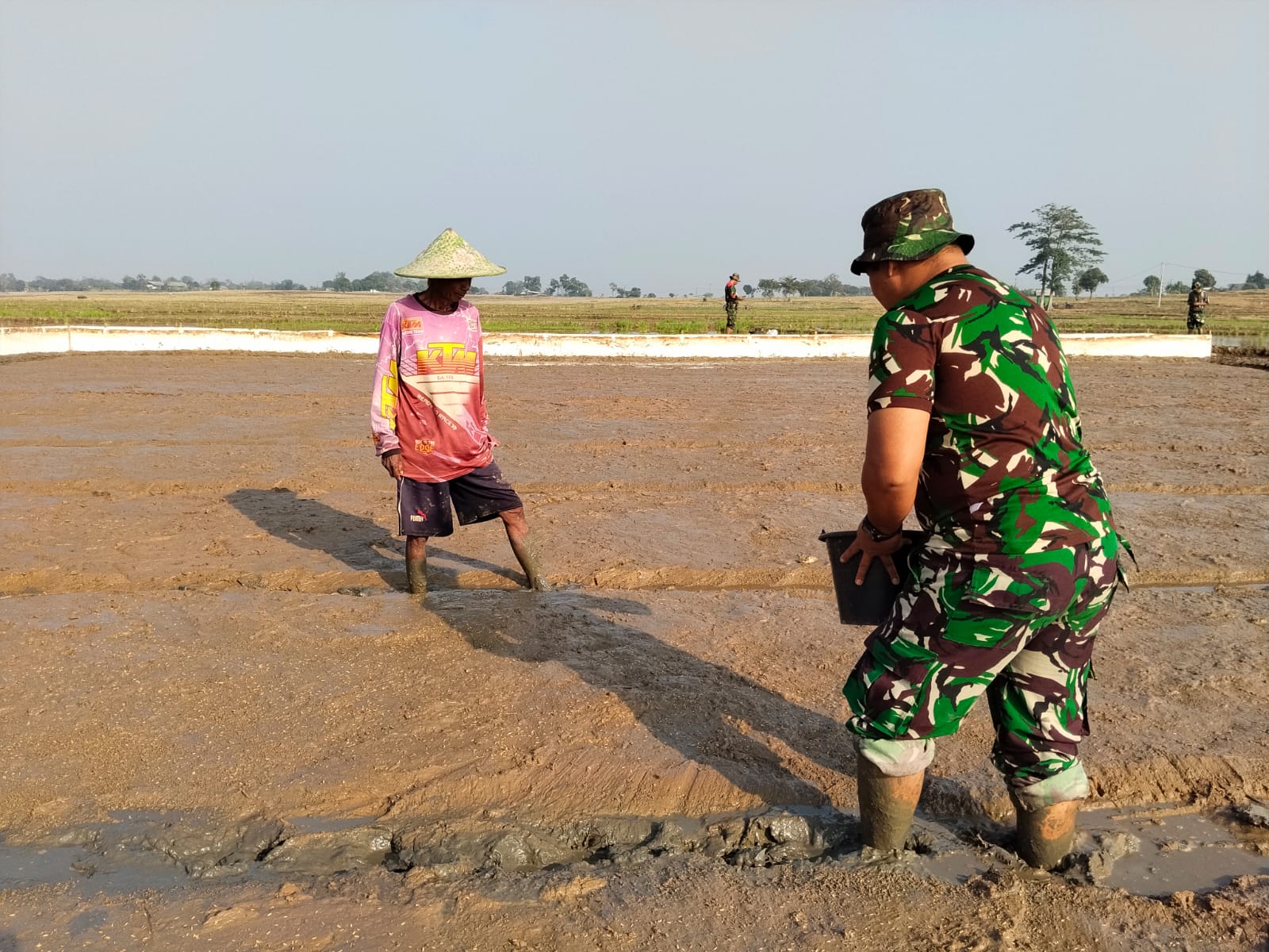 TMMD ke-129 Kodim 0620/Kab. Cirebon Wujudkan Ketahanan Pangan, Pembibitan Padi 1 Hektar Resmi Dimulai di Desa Luwung Kencana